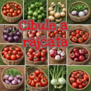 Cibule a rajčata