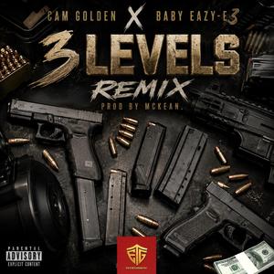 Levels (Remix)