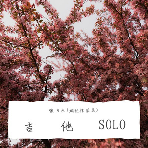 The Saltwater Room(ZSJ Guitar)