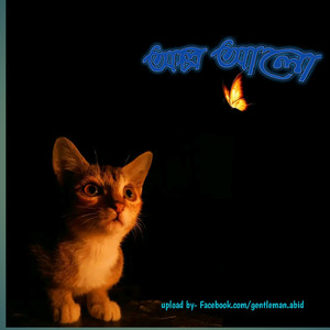 আল্প আলো 2