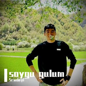 soygu gulum