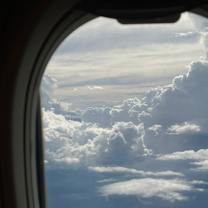 我又变回了枯树 你成了另一棵树的春