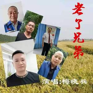 老了兄弟 (伴奏)