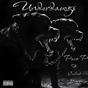 Underdawgs (feat. Cashout Miggy)