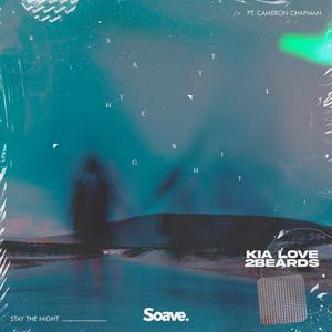 Stay The Night (feat. Cameron Chapman)