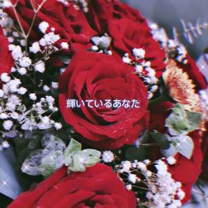 花残零散（纯钢琴）