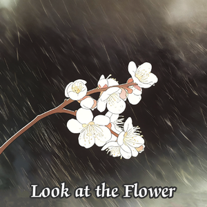 Look at the Flower