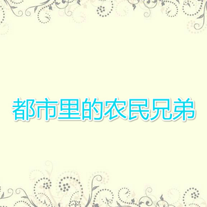 都市里的农民兄弟