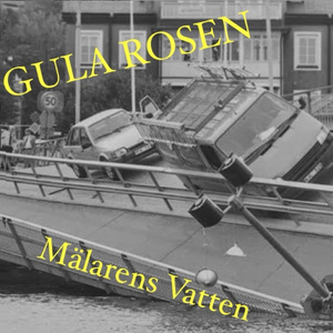 Mälarens Vatten