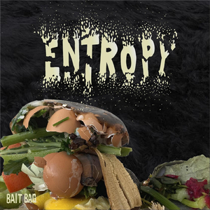 Entropy
