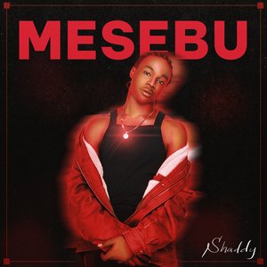 Mesebu