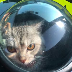 宁夏（cover：梁静茹）