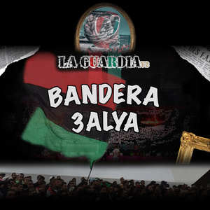 Bandera 3Alya