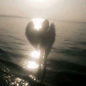 是谁把永远偷换成了剧终