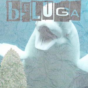 Beluga