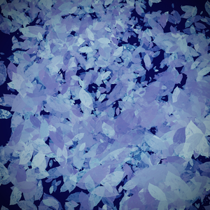 Glitter Minds