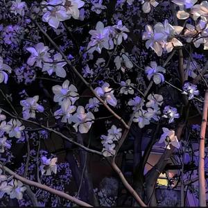 想把你留在这里