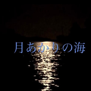 月あかりの海