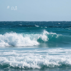 无回音的秘密信件