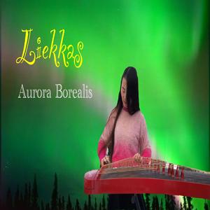 Liekkas Aurora Borealis 缓缓的安静 Guzheng Music by Mila Zeng