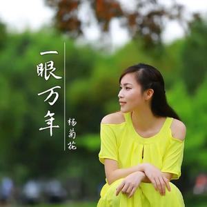 一眼万年