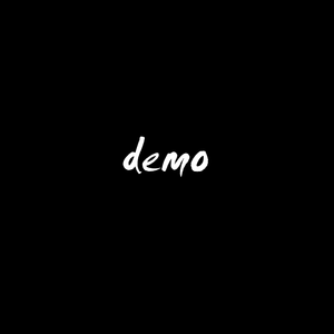 假的 Demo