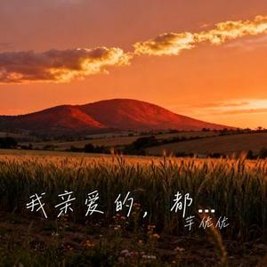 我亲爱的，都会好的 (Cover 王佳音)