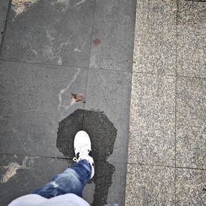 昭阳当你听到这盘录音带的时候