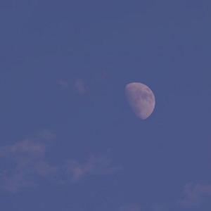 我等你到三十五岁