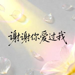 谢谢你爱过我
