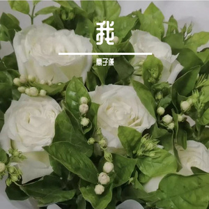 遥远的歌(cover）