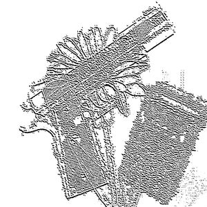 скажи, не зря я выстрелил в себя?