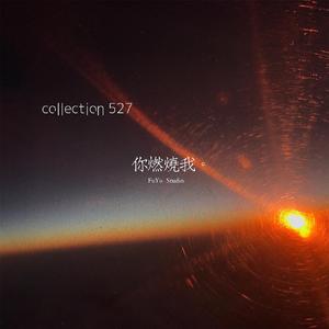 我从未不爱这世界