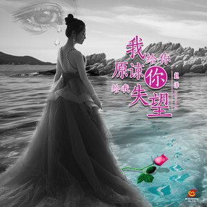 我给你原谅你给我失望 (Dj翊轩版)