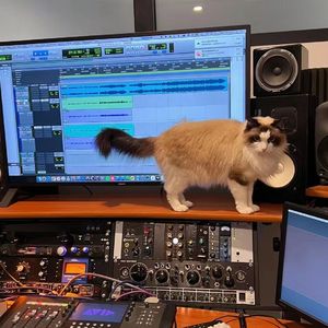 微醺89°6(Prod.Gr33nart Beats）