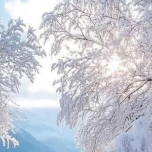 The wind remembers You