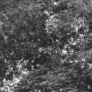 6月の雨と僕らは違う