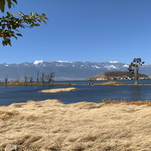 Op.51:03 平白的有