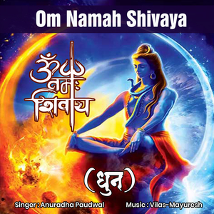 Om Namah Shivaya