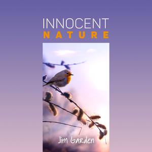 Welness and Calmness