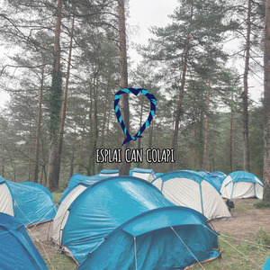Acampada 2024