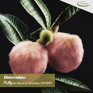 Fluffig (Verhoeven Remix)