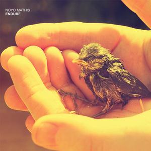 Endure