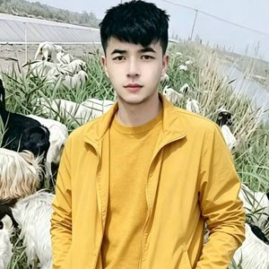 伊力亚尔2026