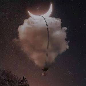 樱花草（翻自 群星）