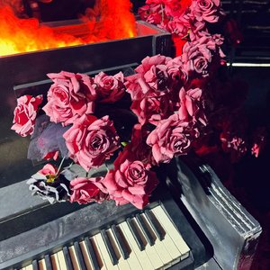 夜色临摹是月亮睡觉觉的时候说白了老子很爱你