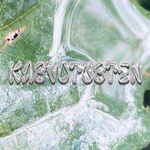 Kasvotusten (On Vaikea Puhua)