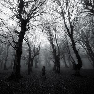 Fade Into You (interlude)