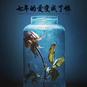 七年的爱变成了恨 (Seven Years of Love Turned Into Hate)