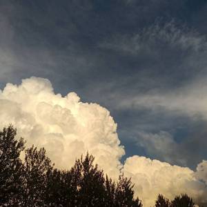 所有的你·都是你